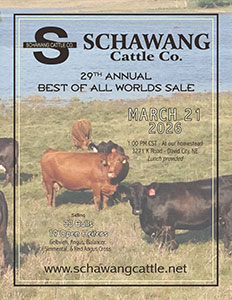 2026 Sale Catalog cover
